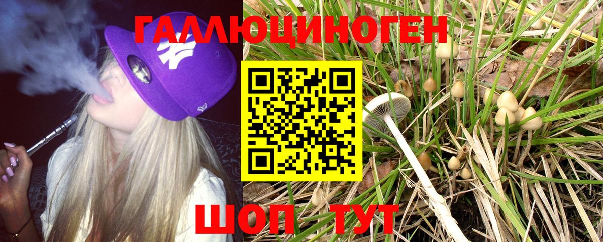 Галлюциногенные грибы мухоморы Новокузнецк