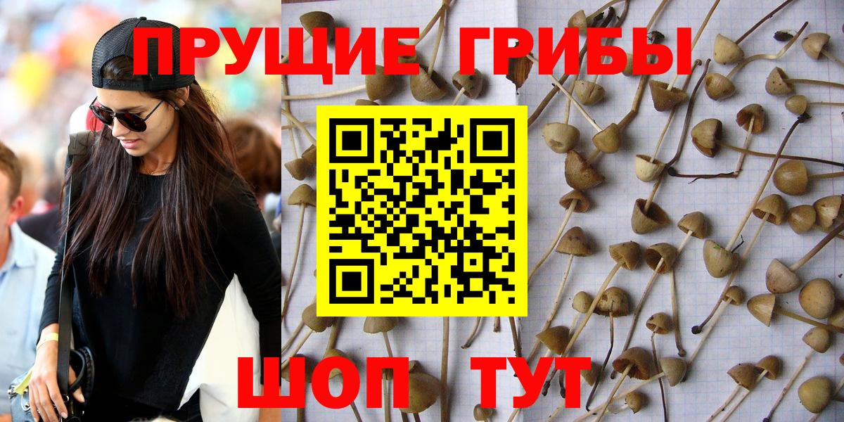 Псилоцибиновые грибы MAGIC MUSHROOMS  Вход с VPN  дарнет шоп  Новокузнецк 